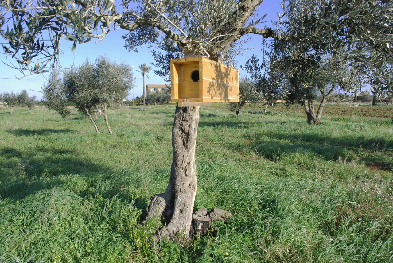Masseria Galatea Agriturismo Alessano Eksteriør billede